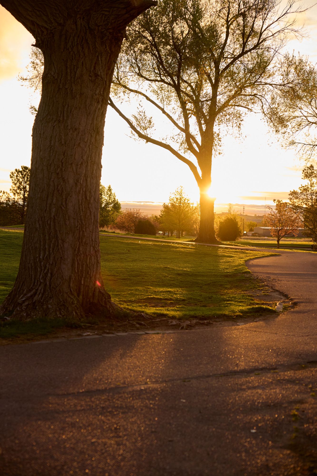 CarsonGolfTournament-Print-001.jpg